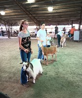 Kankakee County Fair