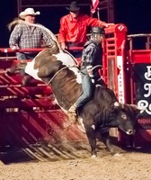 Ogle County Fair