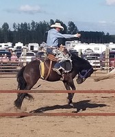 Crow Wing County Fair