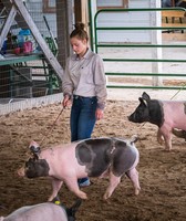 Crow Wing County Fair