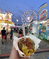 Will County Fair