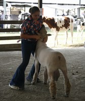 Will County Fair