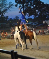 Williamson County Fair