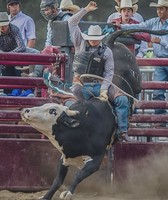 Allen County Fair