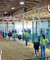 Allen County Fair