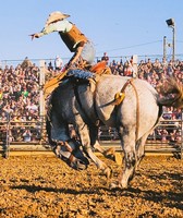 Bartholomew County 4-H Fair