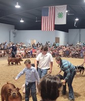 Bartholomew County 4-H Fair