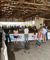 Benton County Fair