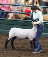 Boone County 4-H Fair