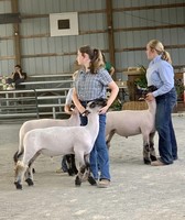 Lincoln County Fair