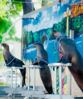 Lincoln County Fair