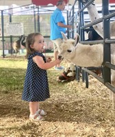 Marion County Fair