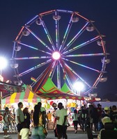 Pulaski County Fair