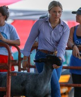 Pulaski County Fair