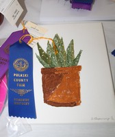 Pulaski County Fair