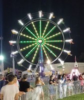 Hopkins County Fair