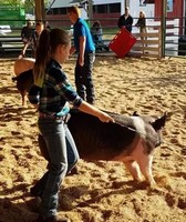 Clearwater County Fair