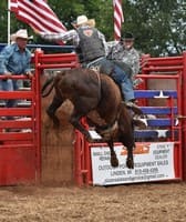 Allegan County Fair