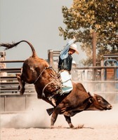 Alpena County Fair