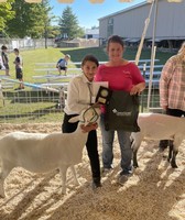 Alpena County Fair