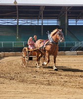 Calhoun County Fair