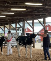 Calhoun County Fair