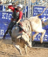 Cass County Fair