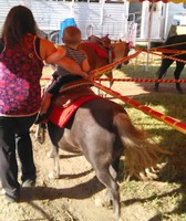 Chippewa County Fair