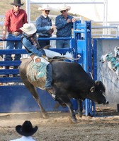 Clare County Fair