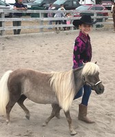 Emmet-Charlevoix County Fair