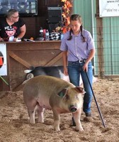 Gladwin County Fair