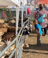 Houghton County Fair