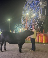 Ingham County Fair