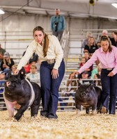 Ingham County Fair