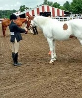 Mecosta County Free Fair 