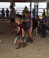 Mecosta County Free Fair 