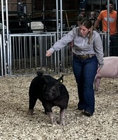 Oakland County Fair