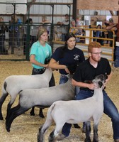 Ogemaw County Fair