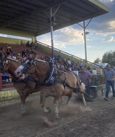 Osceola County Fair