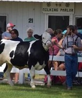 Osceola County Fair