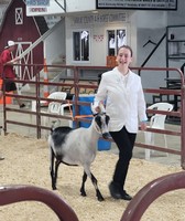 Sanilac County Fair