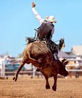 Dakota County Fair