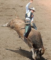 Jaycees Cole County Fair