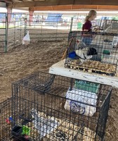 Bates County Youth Fair
