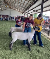 Bates County Youth Fair