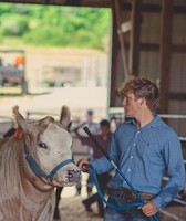 St. Francois County Fair