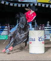 St. Francois County Fair