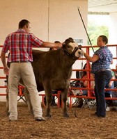 Crawford County Fair