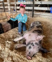 Miller County Fair