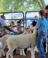 Macon County Fair